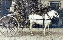  ??  ?? The Kerry Bog horses of Ireland are probably the last population in the world of nearly pure Hobby extraction— indeed, the country people of Ireland refer to them as “old hobbies.” This 19th century photo shows why they are considered horses, not...