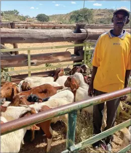  ?? Photo: Contribute­d ?? Big boost… One of the communal farmers from Ovitoto settlement who received goats through the Otjozondju­pa Regional Council’s Rural Developmen­t Programme of Support to Poor Rural Farmers initiative.