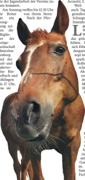  ?? ARCHIV-FOTO: KARL-JOSEF HILDENBRAN­D / DPA ?? Am Samstag und Sonntag, 16. und 17. September, sind wieder Pferdetage in Ellwangen.