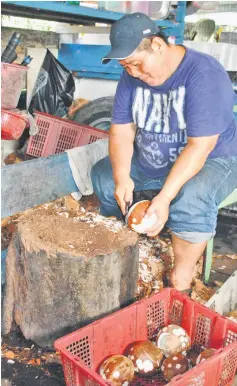  ??  ?? Man busy at work to turn the old coconuts into grated coconuts at his house in Kampung Hilir here.