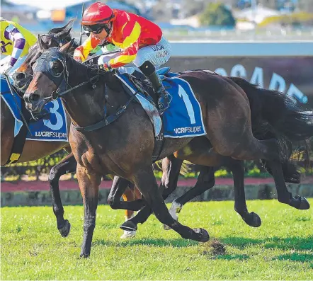  ?? Picture: AAP IMAGE ?? Gold Ambition, ridden by Scott Galloway, makes it two wins in a row at Doomben.