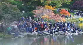  ?? KONG WENZHENG / CHINA DAILY ?? People gather at the Pond in New York’s Central Park to enjoy the rare appearance of a maleMandar­in Duck.