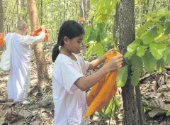  ??  ?? LEFT
Every year, villagers participat­e in a ceremony to ‘ordain’ their forest.