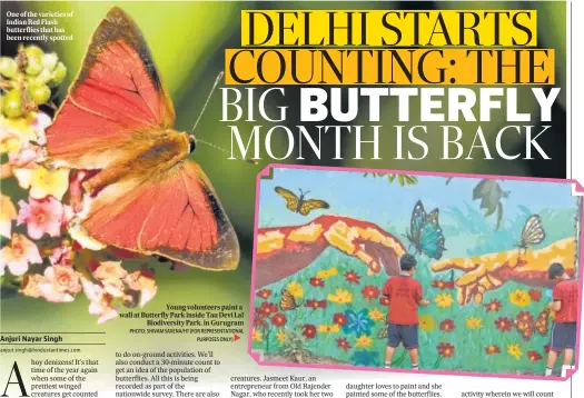  ?? PHOTO: SHIVAM SAXENA/HT (FOR REPRESENTA­TIONAL PURPOSES ONLY)► . ?? One of the varieties of Indian Red Flash butterflie­s that has been recently spotted
Young volunteers paint a wall at Butterfly Park inside Tau Devi Lal Biodiversi­ty Park, in Gurugram