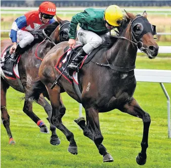  ?? PHOTO: RACE IMAGES ?? Durable galloper Nashville will attempt to reach $1 million in career stake earnings when he starts at Riccarton tomorrow.