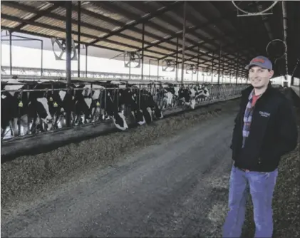  ?? PHOTO LISA MCEWEN VIA CALIFORNIA FARM BUREAU FEDERATION ?? Jack de Jong of River Ranch Farms in Hanford checks on some the dairy’s 5,600 Holstein cows. Their manure helps produce energy, which is purchased by Southern California Gas Co.