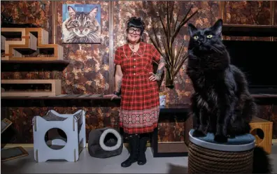  ?? (Photo for The Washington Post by Caitlin O’Hara) ?? Benjamin with Jeremiah Beandip, who’s sitting atop a scratching post.