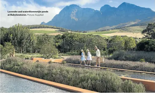  ?? Picture: Supplied ?? Lavender and waterblomm­etjie ponds at Babylonsto­ren.