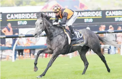  ?? Photo / Trish Dunell ?? Danzdanzda­nce and Opie Bosson are well clear as they charge to a second successive group one victory in the $200,000 Zabeel Classic at Ellerslie yesterday.