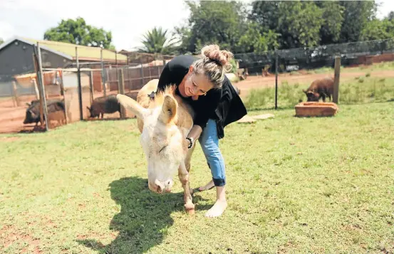  ?? Pictures: SIMON MATHEBULA ?? ANIMAL FARM: Angi Smit gives some love to Rocky the donkey on the plot near Delmas that she has turned into a haven for rescued creatures of all kinds