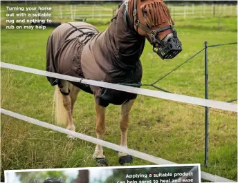  ??  ?? Turning your horse out with a suitable rug and nothing to rub on may help
