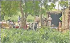  ?? PTI ?? Police on Sunday visited the village where 11 of a family were found dead in Rajasthan’s Jodhpur.