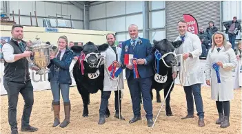  ?? ?? SIMPLY THE BEST: The overall championsh­ip line-up at the Livescot event at Lanark Market, including the champion from James Nisbet and reserve from Stewart Dunlop.