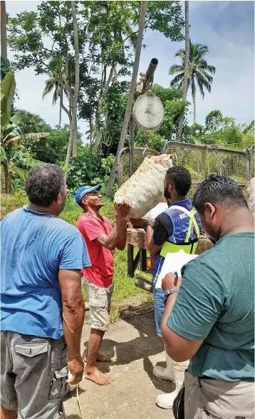  ?? Coconut farmers. ??