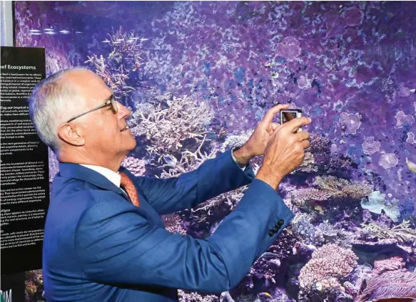  ?? Photo: AAP Image/Michael Chambers ?? IN HOT WATER: Prime Minister Malcolm Turnbull photograph­s fish in a tank at the Australian Institute of Marine Science in Cape Cleveland, Queensland, in January this year. The prime minister has defended the Federal Government's $444 million grant to the Great Barrier Reef Foundation.