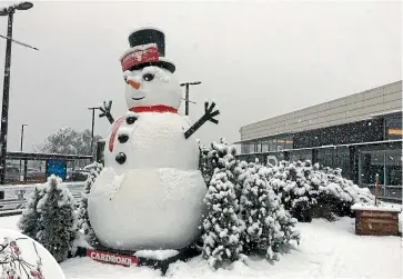  ??  ?? Spring blossoms covered in snow and a snowman at Queenstown Airport.