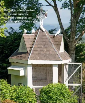  ??  ?? The resident doves are free to fly in and out of the dovecote during the day but are kept safely in at night.