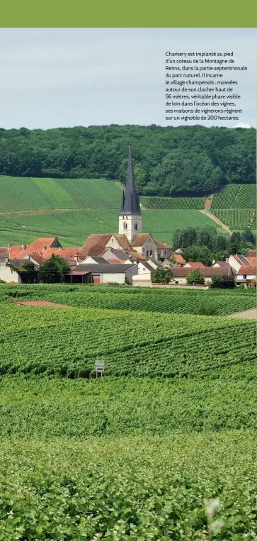  ?? ?? Chamery est implanté au pied d’un coteau de la Montagne de Reims, dans la partie septentrio­nale du parc naturel. Il incarne le village champenois : massées autour de son clocher haut de 56 mètres, véritable phare visible de loin dans l’océan des vignes, ses maisons de vignerons règnent sur un vignoble de 200 hectares.