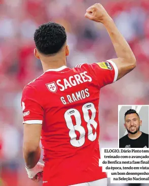  ?? ?? ELOGIO. Dário Pinto tem treinado com o avançado do Benfica nesta fase final da época, tendo em vista um bom desempenho na Seleção Nacional