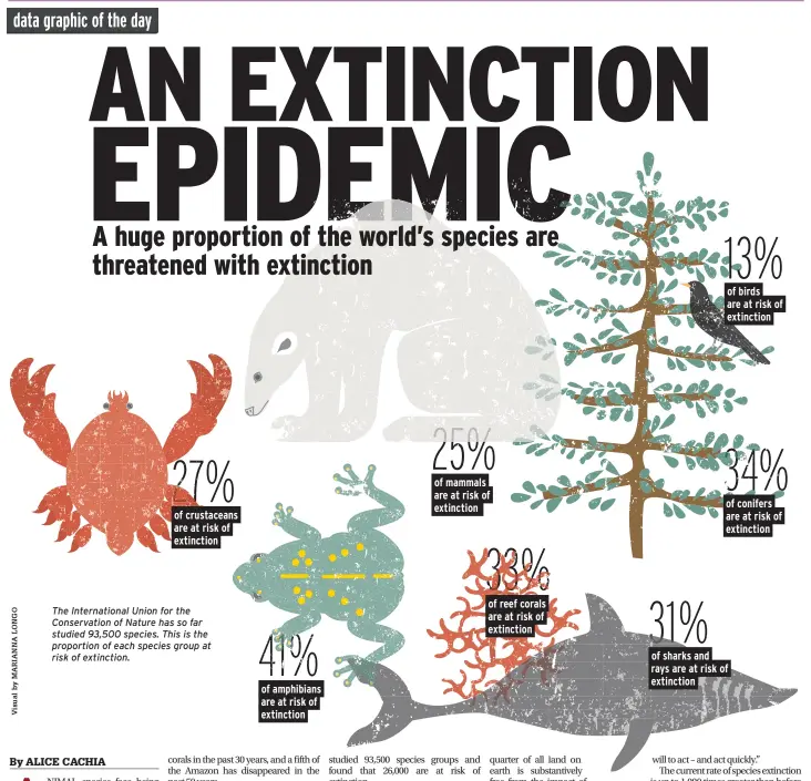  ??  ?? The Internatio­nal Union for the Conservati­on of Nature has so far studied 93,500 species. This is the proportion of each species group at risk of extinction.