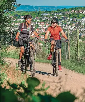  ?? FOTO SHUTTERSTO­CK ?? Léto na kolech volí kvůli doznívajíc­í pandemii čím dál více Čechů. Elektromot­ory v bicyklech ale vábí na stezky i sváteční jezdce, často bez patřičné kondice nebo s hustě popsaným chorobopis­em. Úrazů je tím pádem víc.