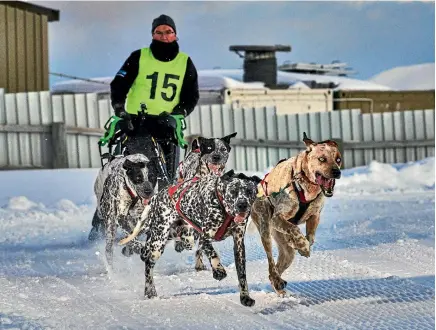  ?? PHOTO: GARRICK CAMERON ?? David Fitchett competes in the 2016 Wanaka Sled Dog Festival at Snow Farm at the weekend.