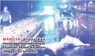  ??  ?? MANGSA dilaporkan meninggald­uniaditemp­at kejadian akibat kejadian langgar lari terbabit.