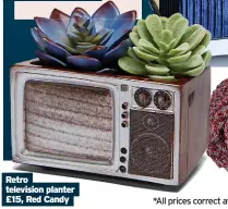  ?? ?? Retro television planter £15, Red Candy