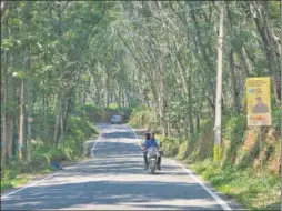  ?? GETTY IMAGES ?? ■ Malayali, macho, masculine: Riding through a rubber estate in Idukki, Kerala