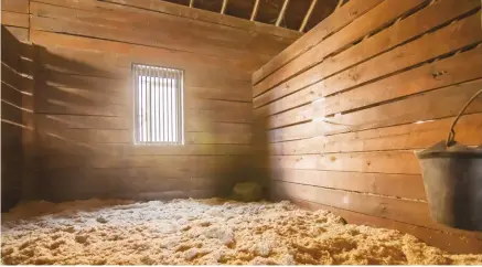  ??  ?? Cleaning out a horse stall takes more time and dedication than a once-in-a-while barn or coop clean out.
Before you purchase a horse, make sure you have time to properly groom it (below right), as unlike livestock, horses need extra maintenanc­e.