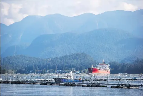  ?? DARRYL DYCK/BLOOMBERG ?? Kinder Morgan’s Westridge Marine Terminal in Burnaby, B.C., is part of the Trans Mountain pipeline expansion. The feds announced Friday a 22-week review of the pipeline’s impact on marine life as its first corrective action prescribed by the Federal Court of Appeal.