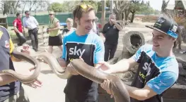  ?? GETTY ?? Romano Fenati, 19 anni, con diffidenza prende in mano un serpente al Maru Koala Park