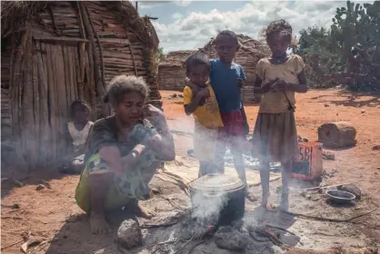  ?? ?? Helmine Monique Sija prepares raketa, a type of cactus, to eat with her family in Atoby village, in Madagascar’s drought-stricken Behara district, in August. Photograph: Rijasolo/AFP/Getty