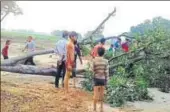  ?? HT PHOTO ?? Villagers in Barnahal area of Mainpuri district gathered at the site where a tree fell during a storm, crushing to death a 13yearold girl. The storm also hit power supply as several electricit­y poles collapsed. District magistrate Pradeep Kumar said,...