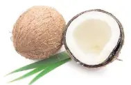  ??  ?? Coconut