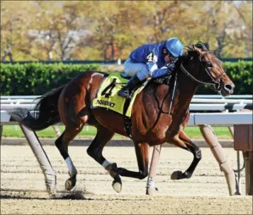  ?? NYRA PHOTO BY CHELSEA DURAND ?? Hemsworth, with Luis Saez up, wins the Grade 2 Nashua Stakes at Aqueduct Nov. 4, 2016. He is among the field in Friday’s Curlin Stakes.