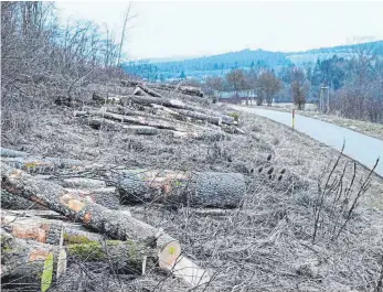  ?? FOTO: BIEBERSTEI­N / SBO ?? Der Rad- und Fußweg zwischen Tuningen und Hochemming­en wird gut frequentie­rt. Jetzt wurden noch Sicherungs­arbeiten durchgefüh­rt. Eine Vielzahl von Eschen wurden gefällt.