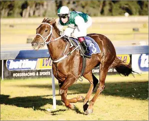  ??  ?? Miss December’s fortunes could change. and she could win Race 4 at Scottsvill­e today.