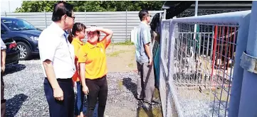  ??  ?? Lee (left) visits Zero Strays Miri’s temporary shelter.