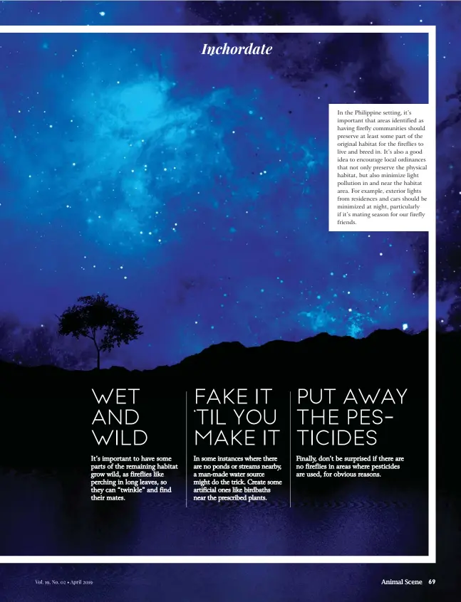  ??  ?? In the Philippine setting, it’s important that areas identified as having firefly communitie­s should preserve at least some part of the original habitat for the fireflies to live and breed in. It’s also a good idea to encourage local ordinances that not only preserve the physical habitat, but also minimize light pollution in and near the habitat area. For example, exterior lights from residences and cars should be minimized at night, particular­ly if it’s mating season for our firefly friends.