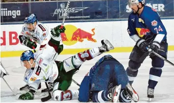  ?? Foto: Siegfried Kerpf ?? Im Penaltysch­ießen mussten sich die Augsburger Panther (im Fallen Adrian Grygiel) den Münchnern am Mittwochab­end geschla  gen geben.