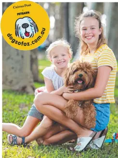  ?? Picture: JUSTIN LLOYD ?? FAMILY MEMBER: Sisters Eleanor Hughes, 5, Olivia Rogers, 14, with cavoodle Arlo.
