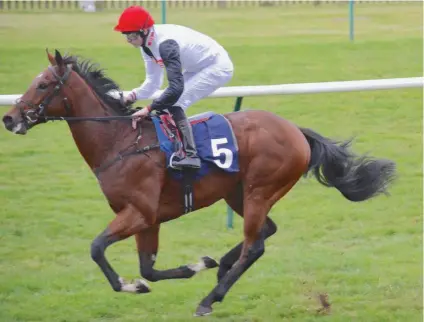  ??  ?? TEST. Investec Derby hopeful Cracksman, a son of Frankel, will be in action in the Blue Riband Trial over 2000m at Epsom today. There is still uncertaint­y as to whether he will stay 2400m in the Derby.