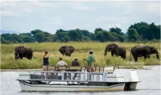  ??  ?? It’s not uncommon to see elephants, zebra and buffalo ambling around Ruckomechi Camp.