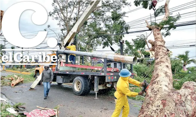  ??  ?? Empleados de Ede Este despejan la avenida Hermanos Trejo en Higüey, después que un árbol cayera a consecuenc­ia de los vientos del huracán Irma. Tratan de reponer el servicio eléctrico.