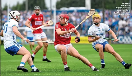  ?? ?? REBELS ROUSED: Ciarán Joyce in action for Cork with Kingston and O’Sullivan (below)