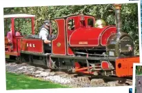  ??  ?? CHILD’S PLAY: The treehouse at Bressingha­m’s Foggy Bottom, far right, and, above, a mini steam train. Right: Stocks at Forbidden Corner, Yorkshire