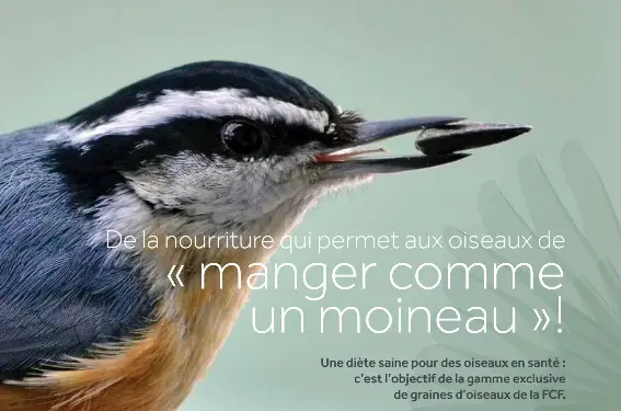 Manger Comme Un Moineau Pressreader