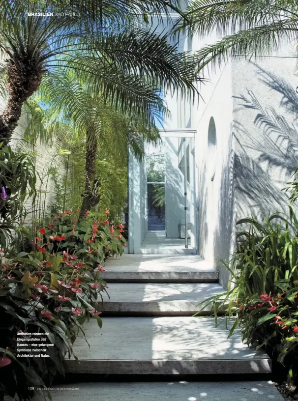  ??  ?? Anthurien rahmen die Eingangsst­ufen des Hauses – eine gelungene Symbiose zwischen Architektu­r und Natur.