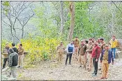  ?? HT PHOTO ?? A team of veterinary doctors and forest staff arrive to tranquilis­e the tiger in Fatehpur forest range.